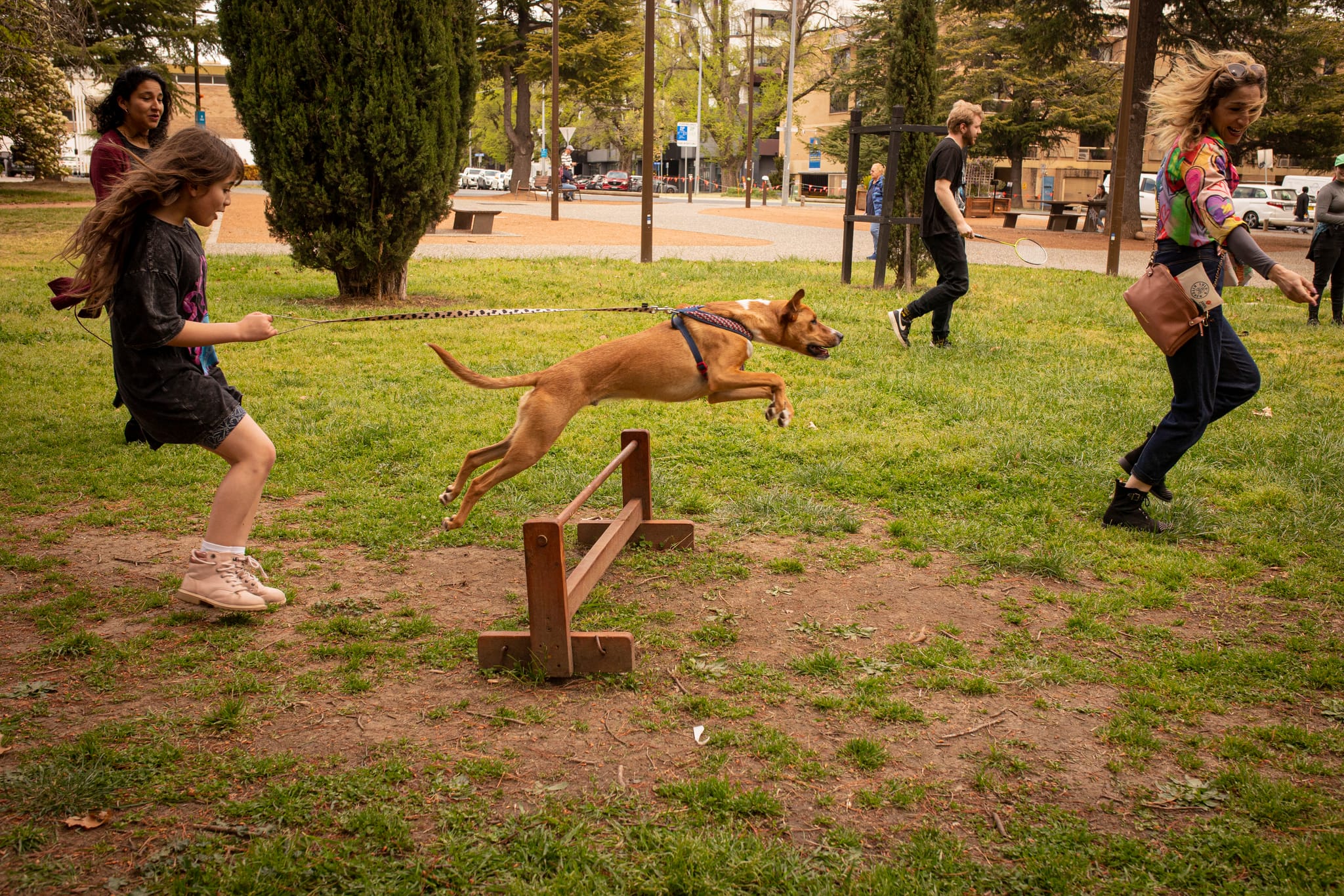 Thumbnail for A Dog-Friendly Sunday in Braddon
