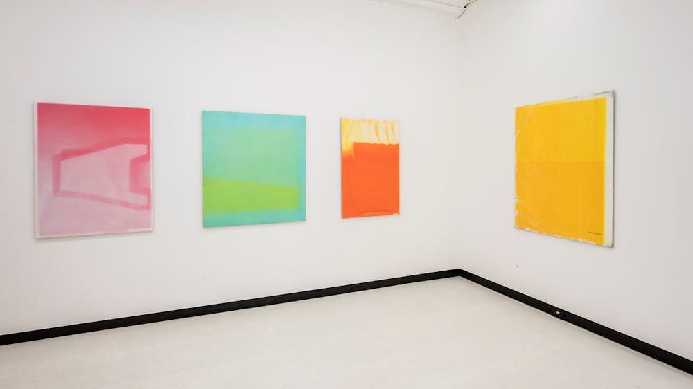 Installation view: Chris Carmody's All the Time